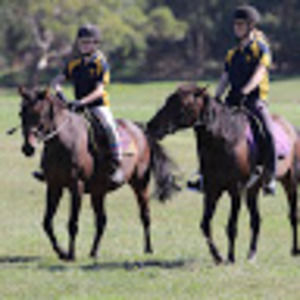 Meet your Posher, Grace